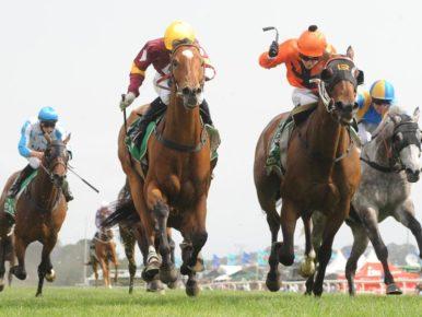 Kembla Grange Preview Thursday July 21