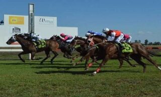 Free expert tips for Dalby horse racing today. Preview, best bets & predictions for Dalby Racecourse on Monday, 7 August 2023.