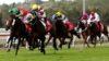 Gilgandra Preview & Best Bets – 07/01/2024