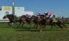Dalby Preview Monday December 12