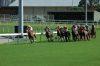 Canterbury Preview & Best Bets – 17/04/2024