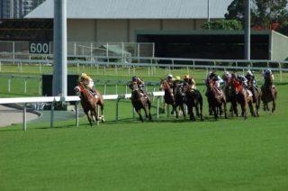Canterbury Preview & Best Bets – 17/04/2024