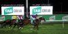 Cranbourne Races
