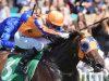 New Zealand Preview & Best Bets – 03/02/2024