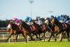Sunshine Coast Preview & Best Bets – 21/04/2024