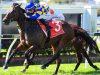Sunshine Coast Preview & Best Bets – 24/03/2024