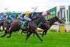 Kilmore Preview & Best Bets