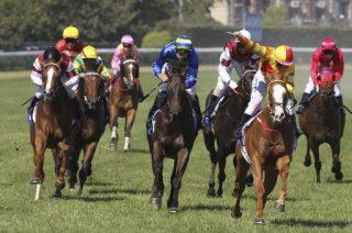 Wangaratta Preview & Best Bets