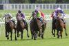 surround stakes winners