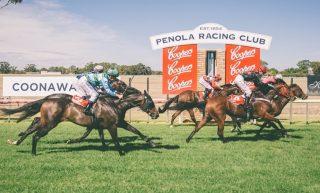 Free expert tips for Penola horse racing today. Preview, best bets & predictions for Penola Racecourse on Thursday, January 12, 2023.