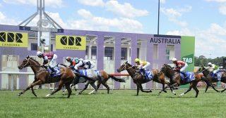 Canberra Preview & Best Bets – 19/04/2024
