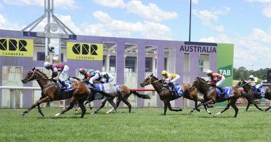 Canberra Preview & Best Bets – 19/04/2024