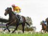 Mornington Preview & Best Bets