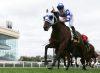 Caulfield Heath Preview & Best Bets