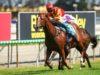 Gold Coast Preview Saturday December 3
