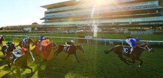 Randwick Preview & Best Bets – 13/03/2024