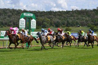 Wellington Preview & Best Bets – 14/04/2024