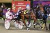 Harness Racing Multibet Tips