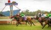 Parkes Preview & Best Bets – 19/05/2024