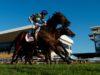 Horse Racing Tips