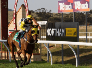 FrFree expert tips for Northam horse racing today. Preview, best bets & predictions for Northam Racecourse on Wednesday October 11 2023 