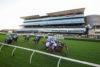 Gosford Preview & Best Bets – 11/05/2024