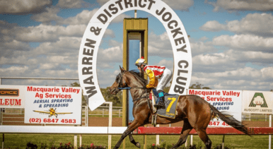 Warren Preview & Best Bets – 12/11/2023