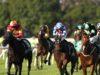 Warwick Farm Preview Wednesday December 7