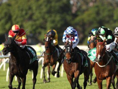 Warwick Farm Preview Wednesday December 7