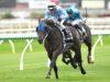 Free expert tips for Eagle Farm horse racing today. Preview, best bets & predictions for Eagle Farm Racecourse on Saturday, 5 August 2023.