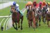 Orange Preview & Best Bets – 28/12/2023