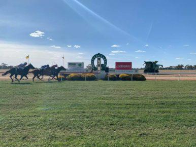 Warracknabeal Tips | Expert Race Predictions & Best Bets - RacingBase