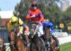 Coolmore Classic