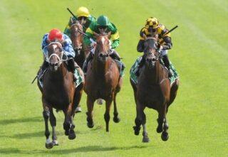 Orange Preview & Best Bets – 11/03/2024