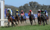Home Hill Preview & Best Bets – 28/12/2023