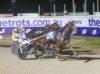 Victoria Cup Tips