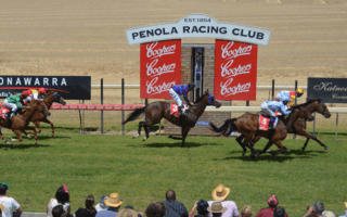 Free expert tips for Penola horse racing today. Preview, best bets & predictions for Penola Racecourse on Sunday 31 March, 2024 