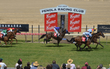 Free expert tips for Penola horse racing today. Preview, best bets & predictions for Penola Racecourse on Sunday 31 March, 2024 