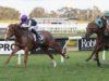 Doomben Preview Wednesday May 31