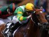 Newcastle Preview Sunday November 27