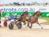 New Zealand Trotting Cup Tips