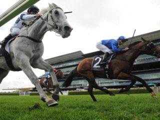 Randwick Preview & Best Bets – 27/03/2024