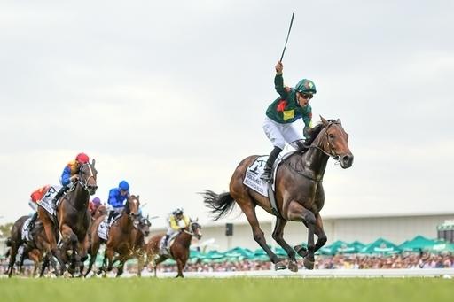 Magic Millions 3YO Guineas