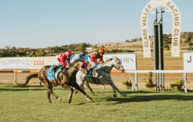 Free expert tips for Clare horse racing today. Preview, best bets & predictions for Clare Racecourse on Saturday 30 March, 2024