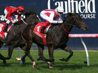 Caulfield Preview & Best Bets