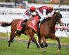 Caulfield Preview & Best Bets