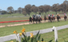 Walcha Preview & Best Bets – 9/02/2024