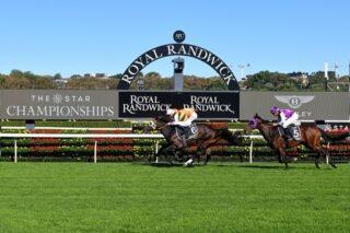 Randwick Preview Saturday September 17
