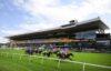 Rosehill Preview Saturday February 18