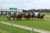 Casterton Preview & Best Bets